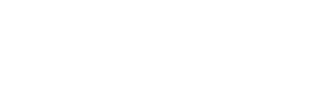 NSW-Cop